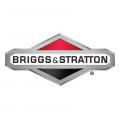 Briggs & Stratton