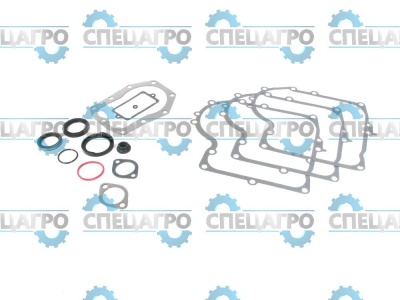 Прокладки (комплект) Briggs&Stratton 494241