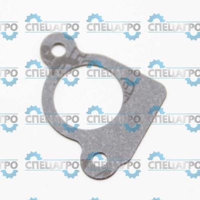 Прокладка Briggs&Stratton 794306