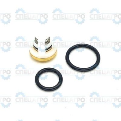 Клапан выпускной HP5240 комплект Champion HP5240-34