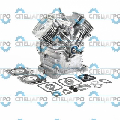 Ремонтный блок Briggs&Stratton 494054