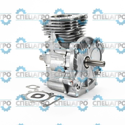 Шортблок Briggs&Stratton 795446