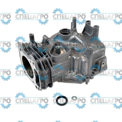 Цилиндр в сборе Briggs&Stratton 798947