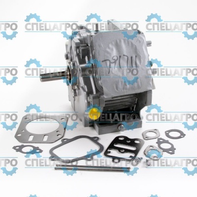 Ремонтный блок Briggs&Stratton 791711