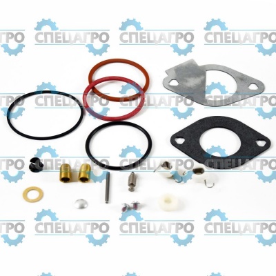 Ремкомплект карбюратора Briggs&Stratton 796185