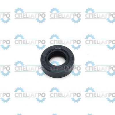 Сальник  10х18х6 насоса PS257 Champion 3100010007