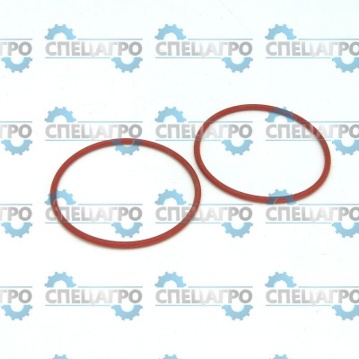 Уплотнительное кольцо цилиндра поз. 6 WO 10-120 006031535