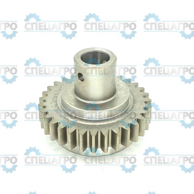 ШЕСТЕРНЯ 31Z2,5  510HV SL0306050040 Solo by Al-Ko