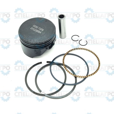 Поршень 61мм LM4122 комплект Champion TW00040067