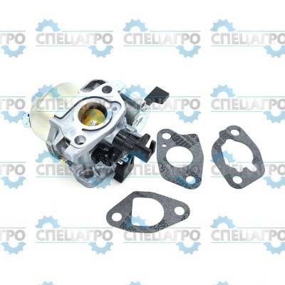 Карбюратор Briggs&Stratton 596079