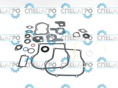 Прокладки (комплект) Briggs&Stratton 495603