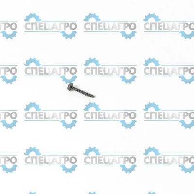 Винт Briggs&Stratton 698425