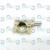 Насос масляный GS35 Oleo-Mac 5024-0198R (50240198R)