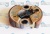 Муфта сцепления 755 MASTER, 740T, SPARTA 37, SPARTA 42 Oleo-Mac 4191-153AR (4191153AR) Муфта сцепления 755 MASTER, 740T, SPARTA 37, SPARTA 42 Oleo-Mac 4191-153AR (4191153AR)
