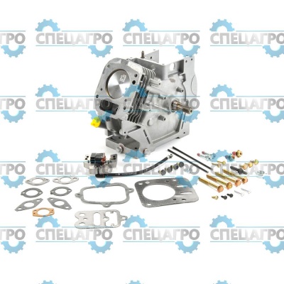Ремонтный блок Briggs&Stratton 791110