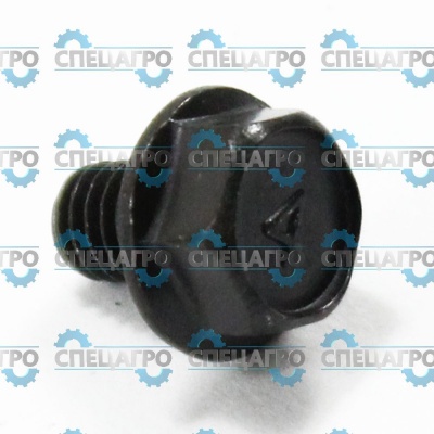 Винт Briggs&Stratton 710074