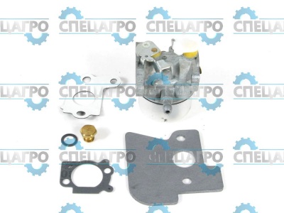 Карбюратор Briggs&Stratton 698055