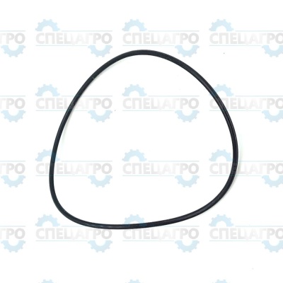Кольцо уплотнительное HP6140 корпуса насоса 72х2 мм (208038018) Champion HP6140-66