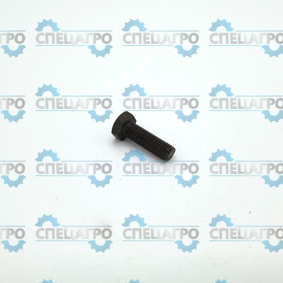 Болт М7 000-194